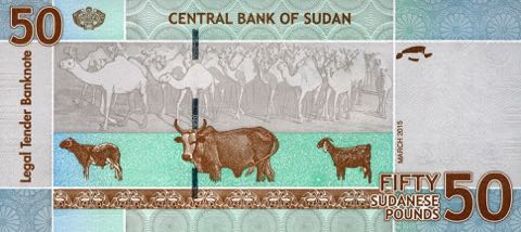 sudan_cbs_50_sudanese_pounds_2015.03.00_b411b_p75_fh_34651141_r.jpg