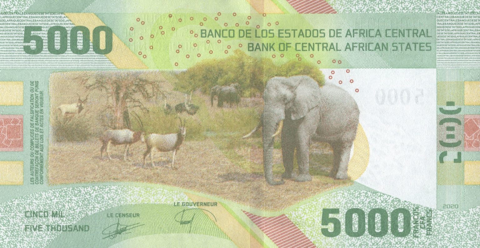 Central African States New 5 000 Franc Note B114 Confirmed Banknotenews